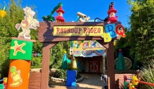 Roundup Rodeo BBQ review