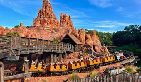 Complete List of Disney World Height Requirements by Park