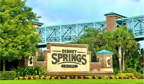 Free things to do in Disney World