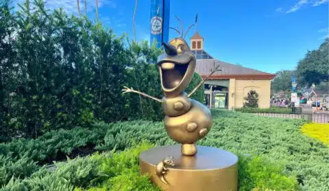 Weather in Disney World in December and January—typical temps and packing