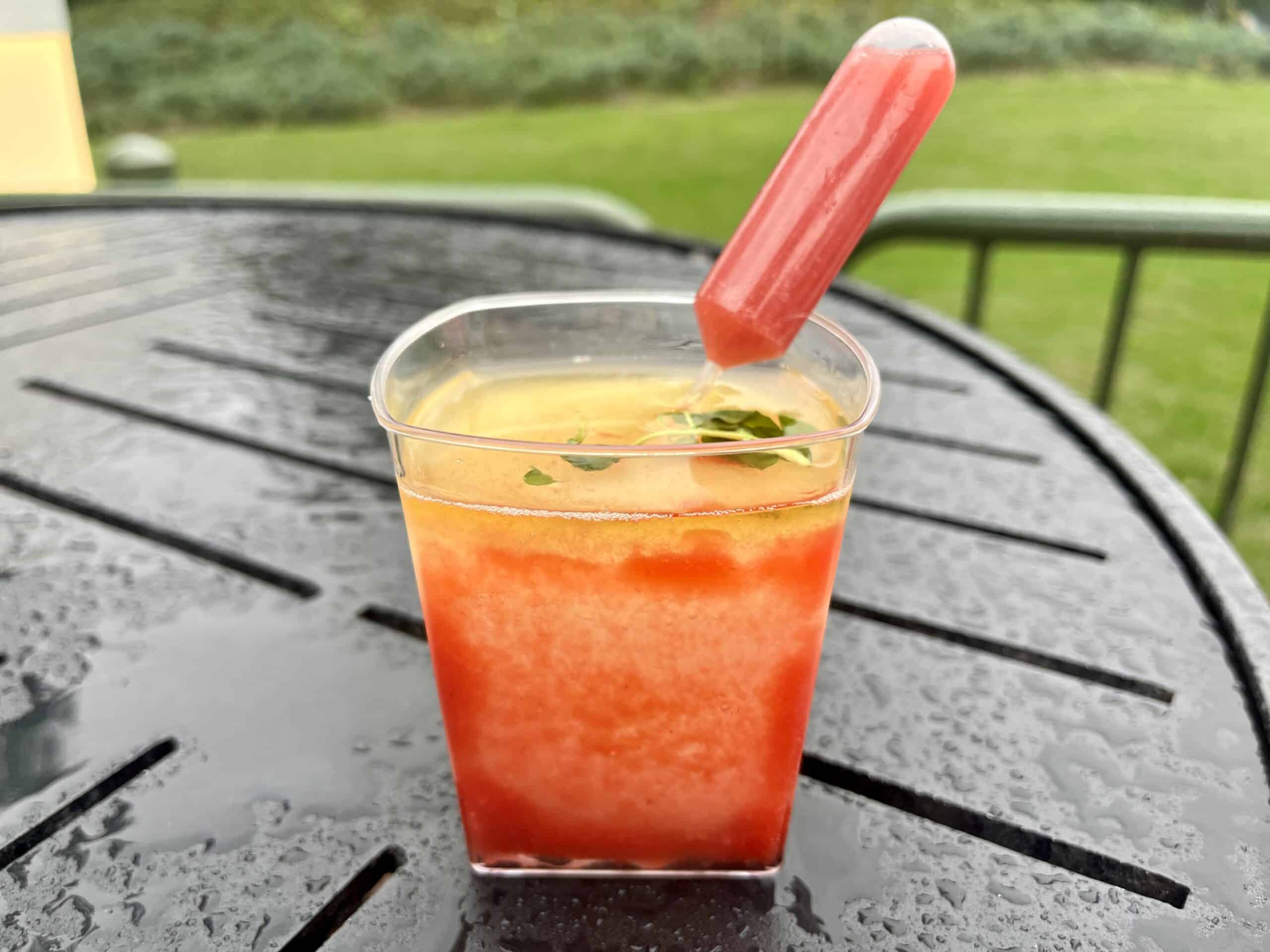 EPCOT drink around the world