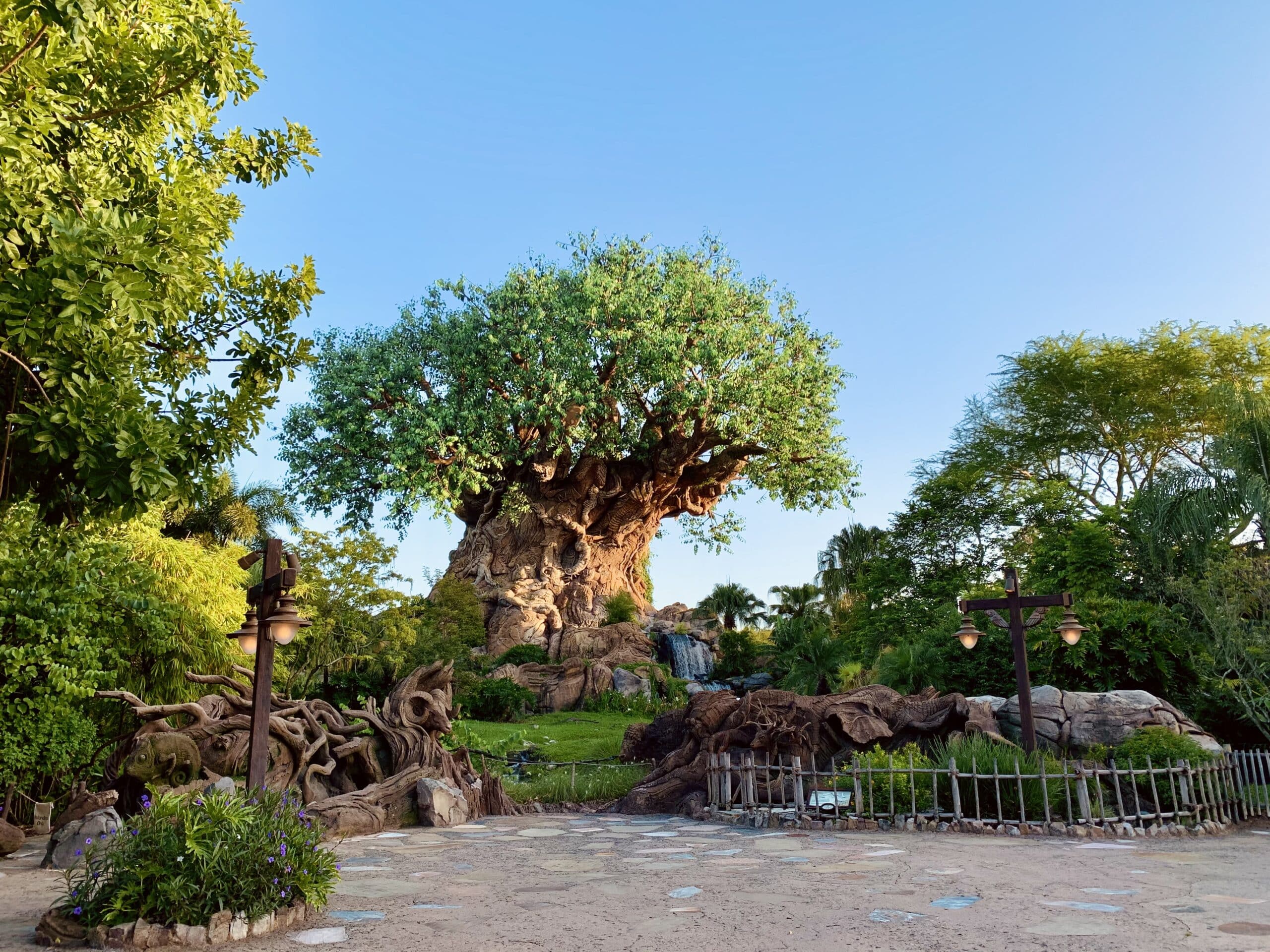 Animal Kingdom Rides