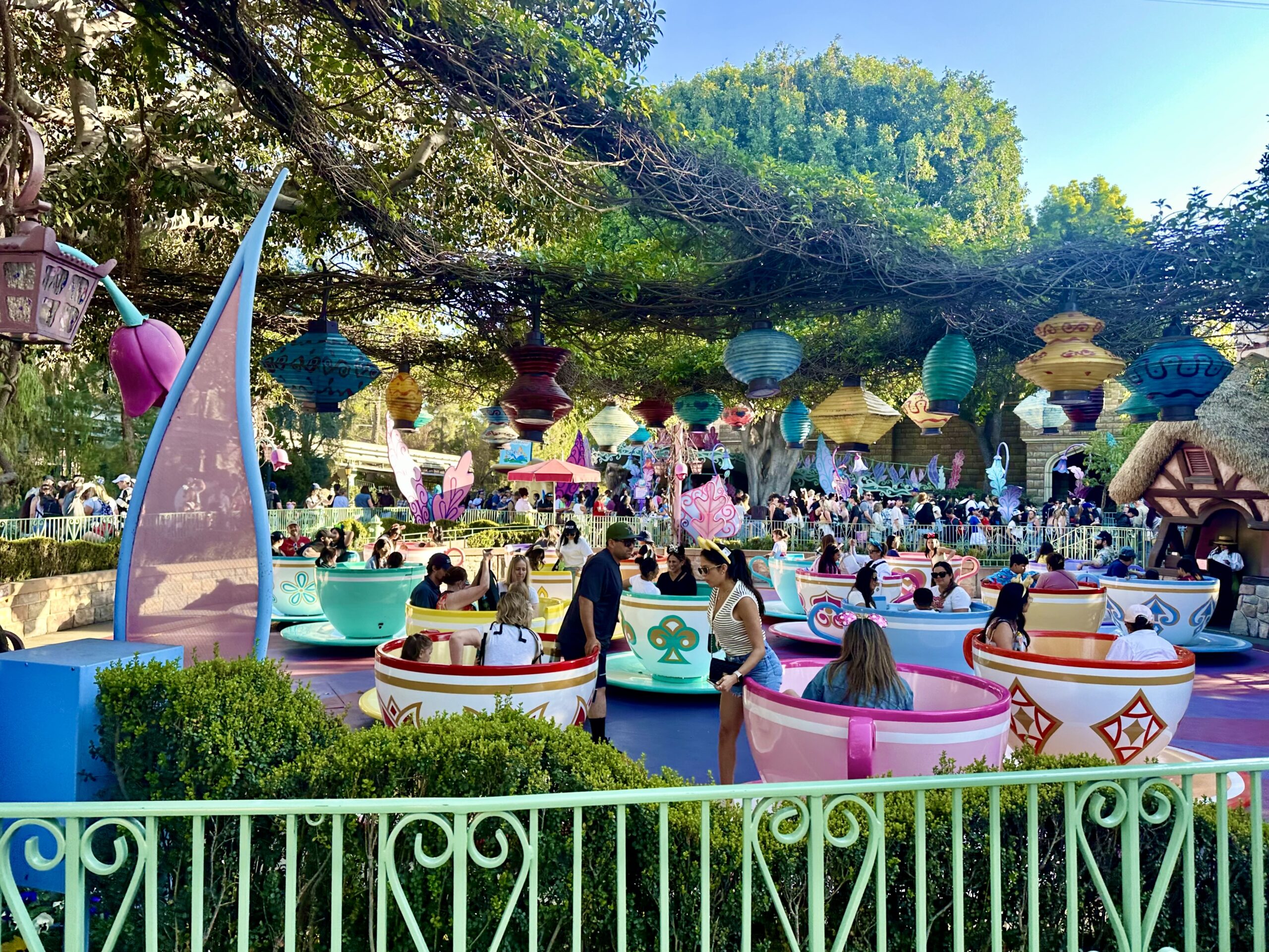 first time Disneyland