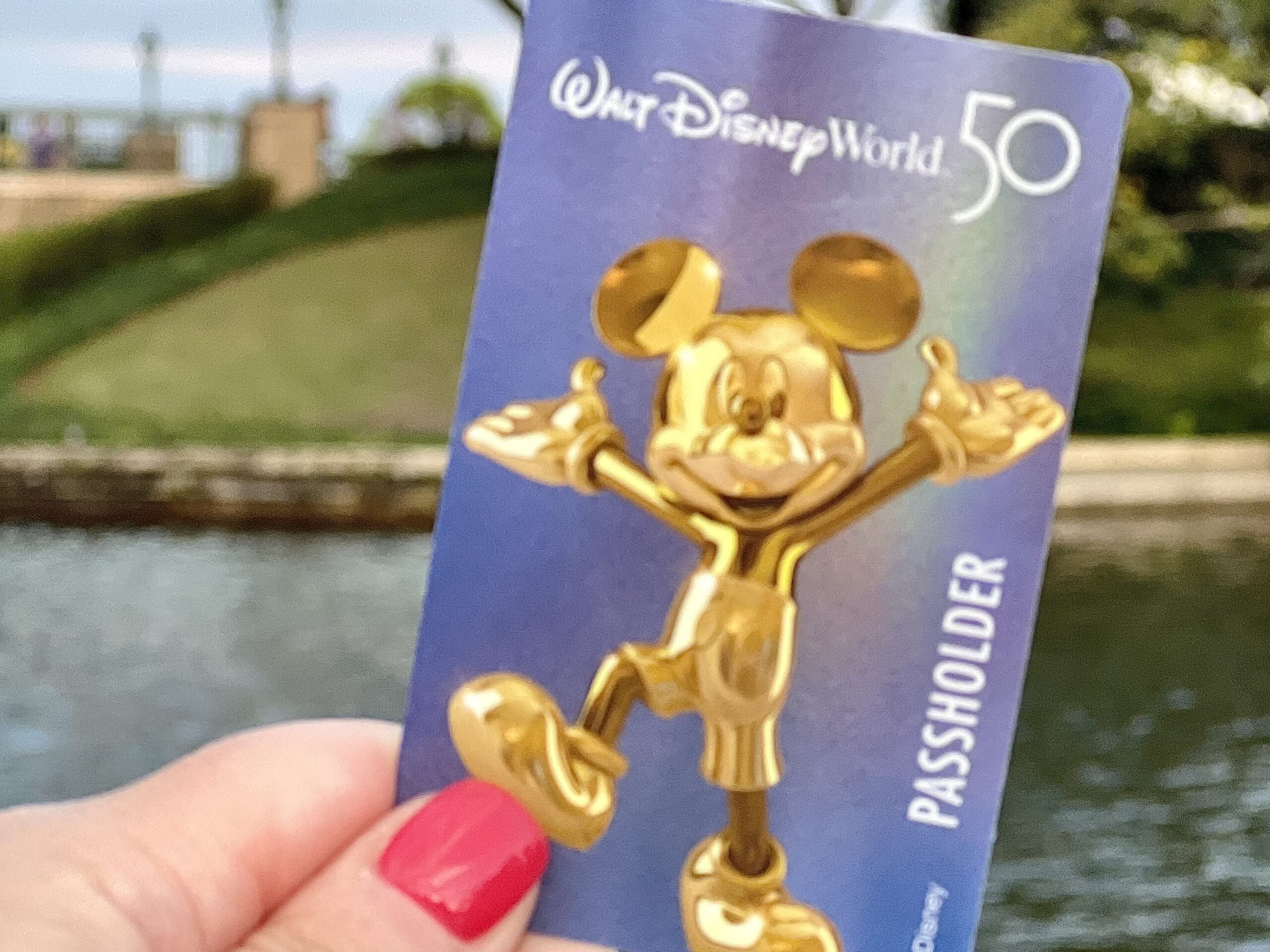 Disney World annual pass