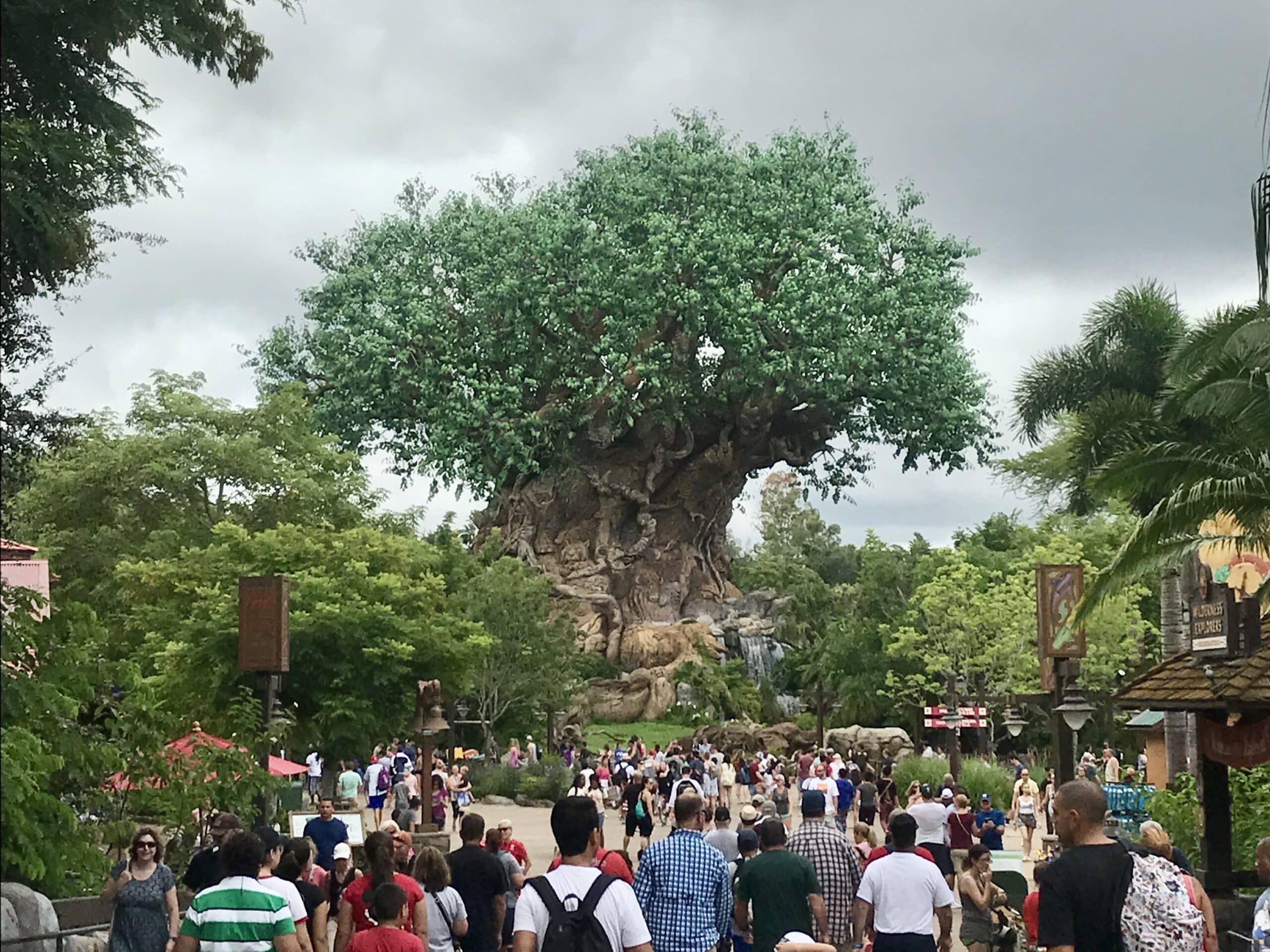 July in Disney World