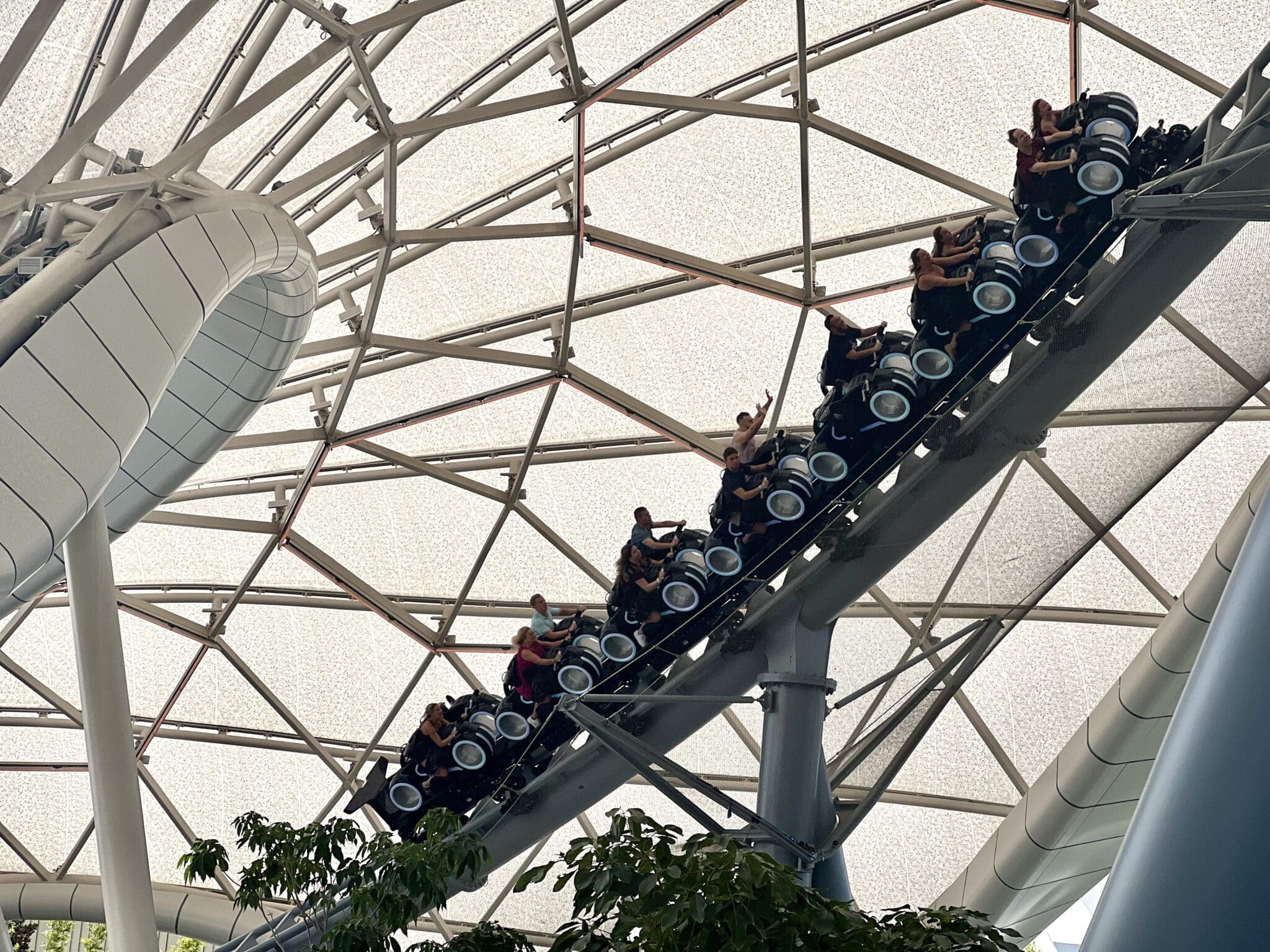 What Is Disney World Rope Drop and Why Does It Matter? - Eat Sleep Disney