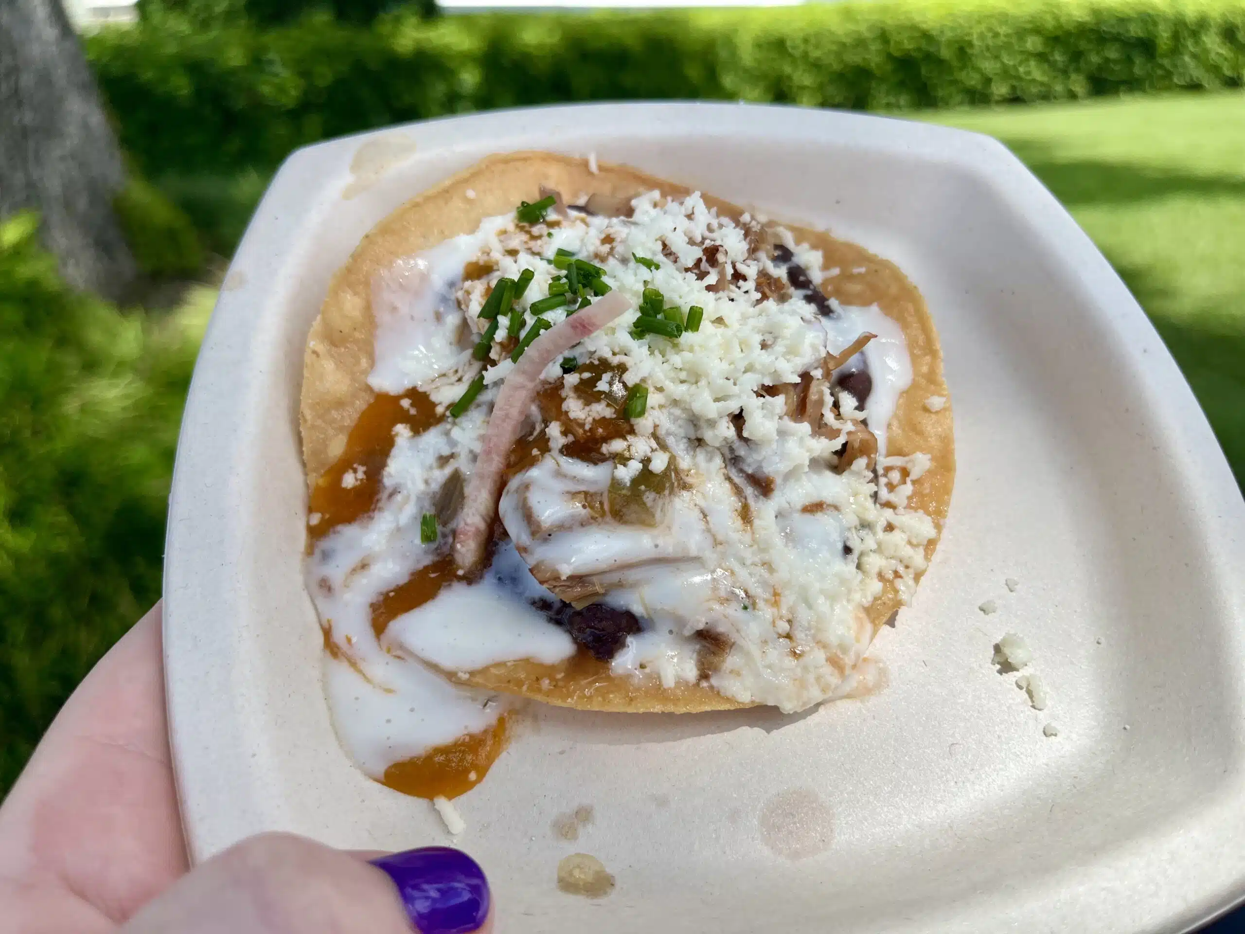 EPCOT Food and Wine Festival best worst dishes