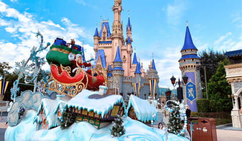 Magic Kingdom Mistakes