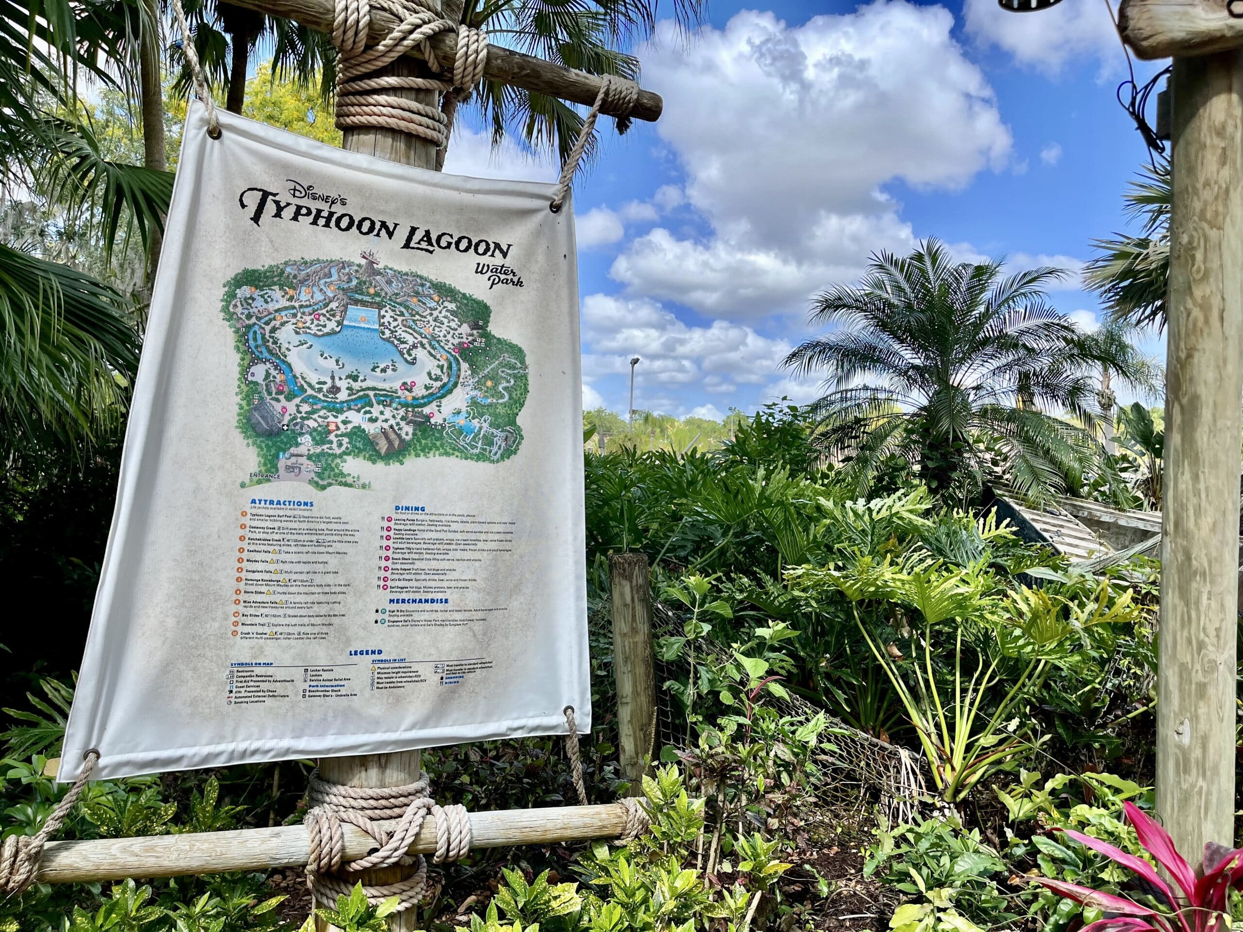 Disney World in June