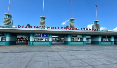 avoid disney world crowds cover