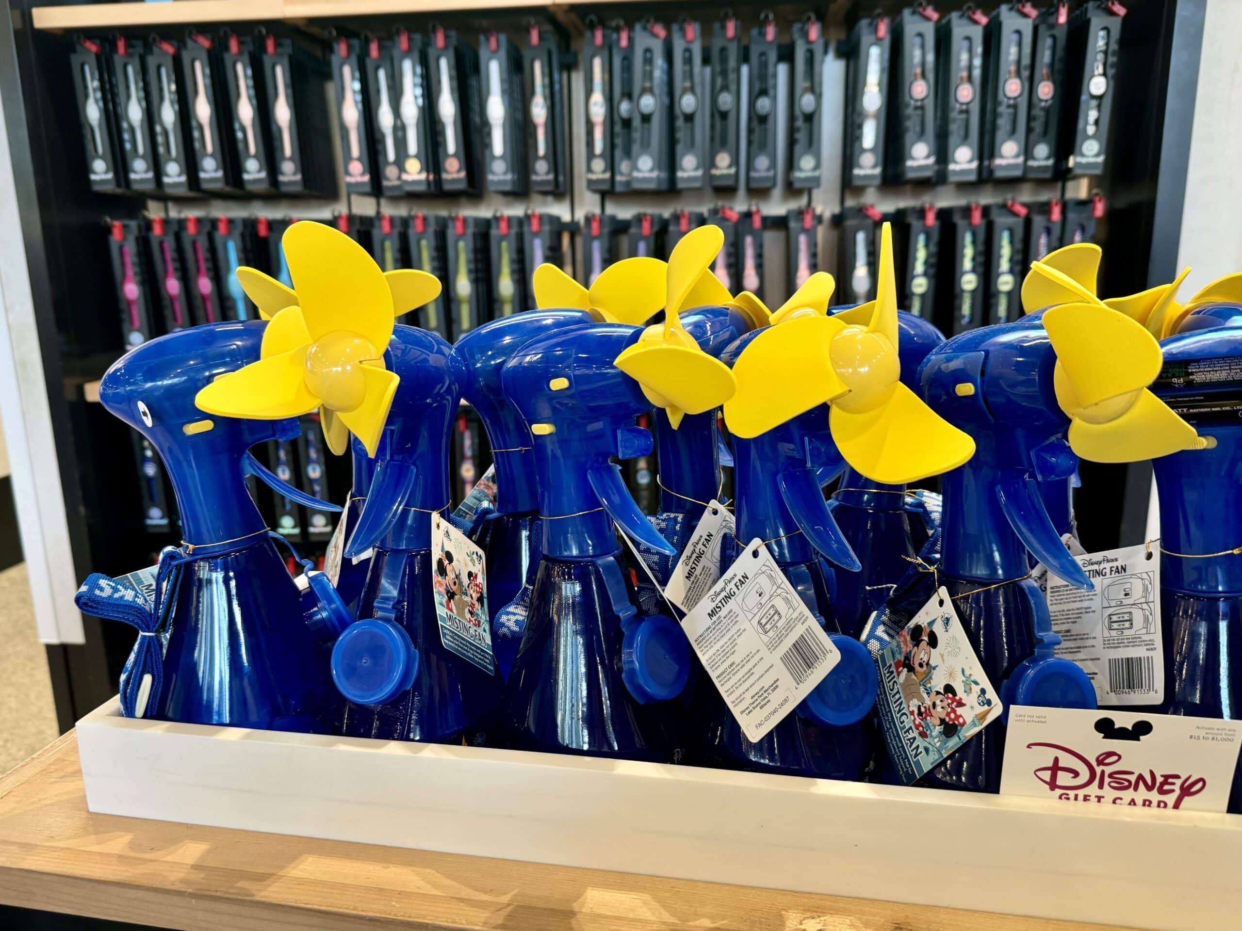 Disney World Packing List