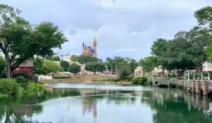 disney world while pregnant cover