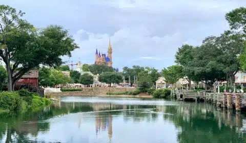 disney world while pregnant cover