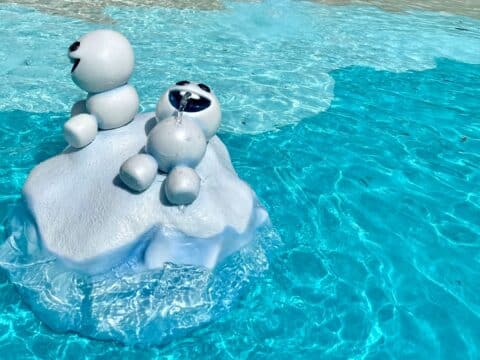 Typhoon Lagoon vs. Blizzard Beach: Which Disney World Water Park is
