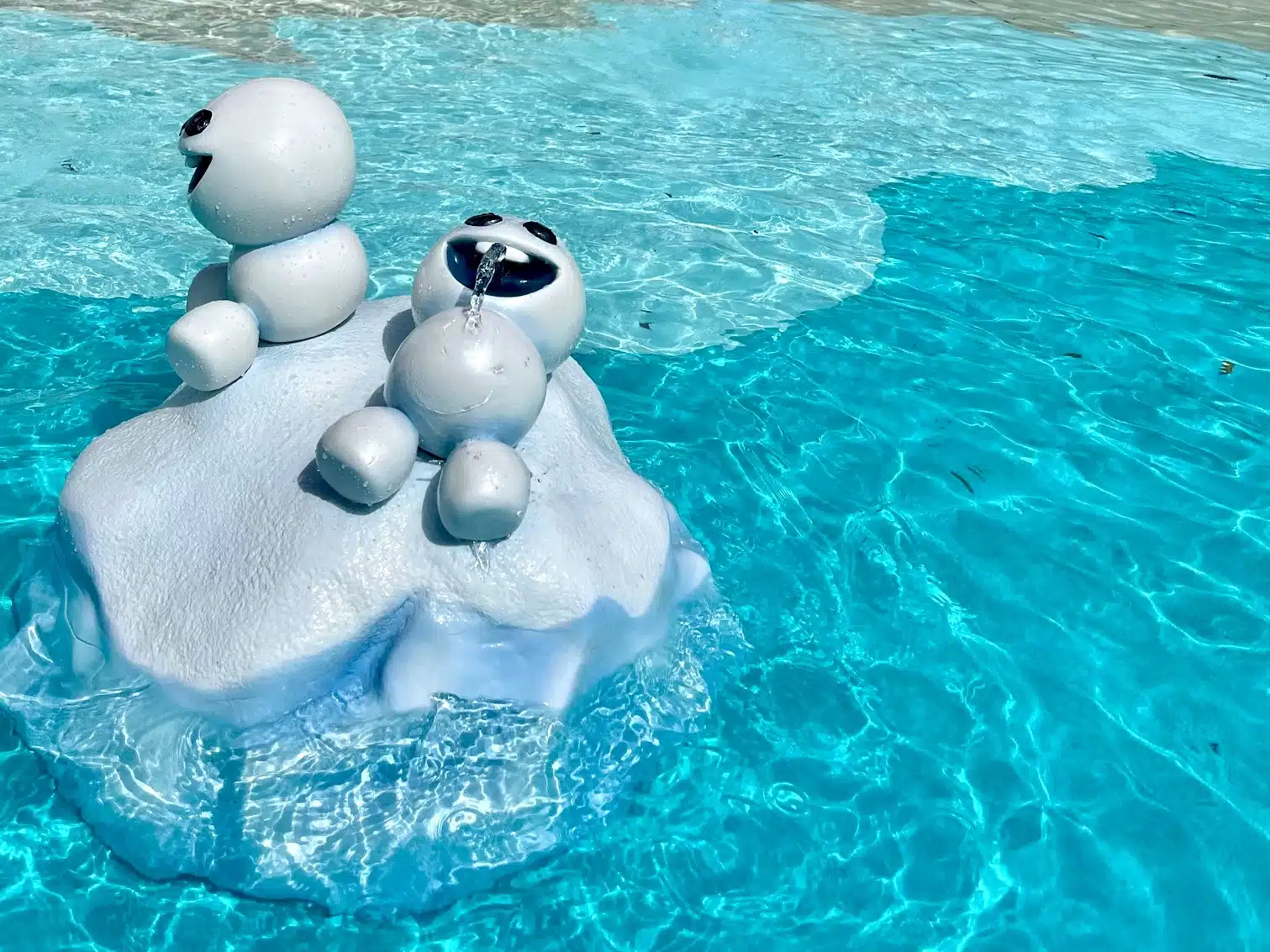 Typhoon Lagoon vs. Blizzard Beach