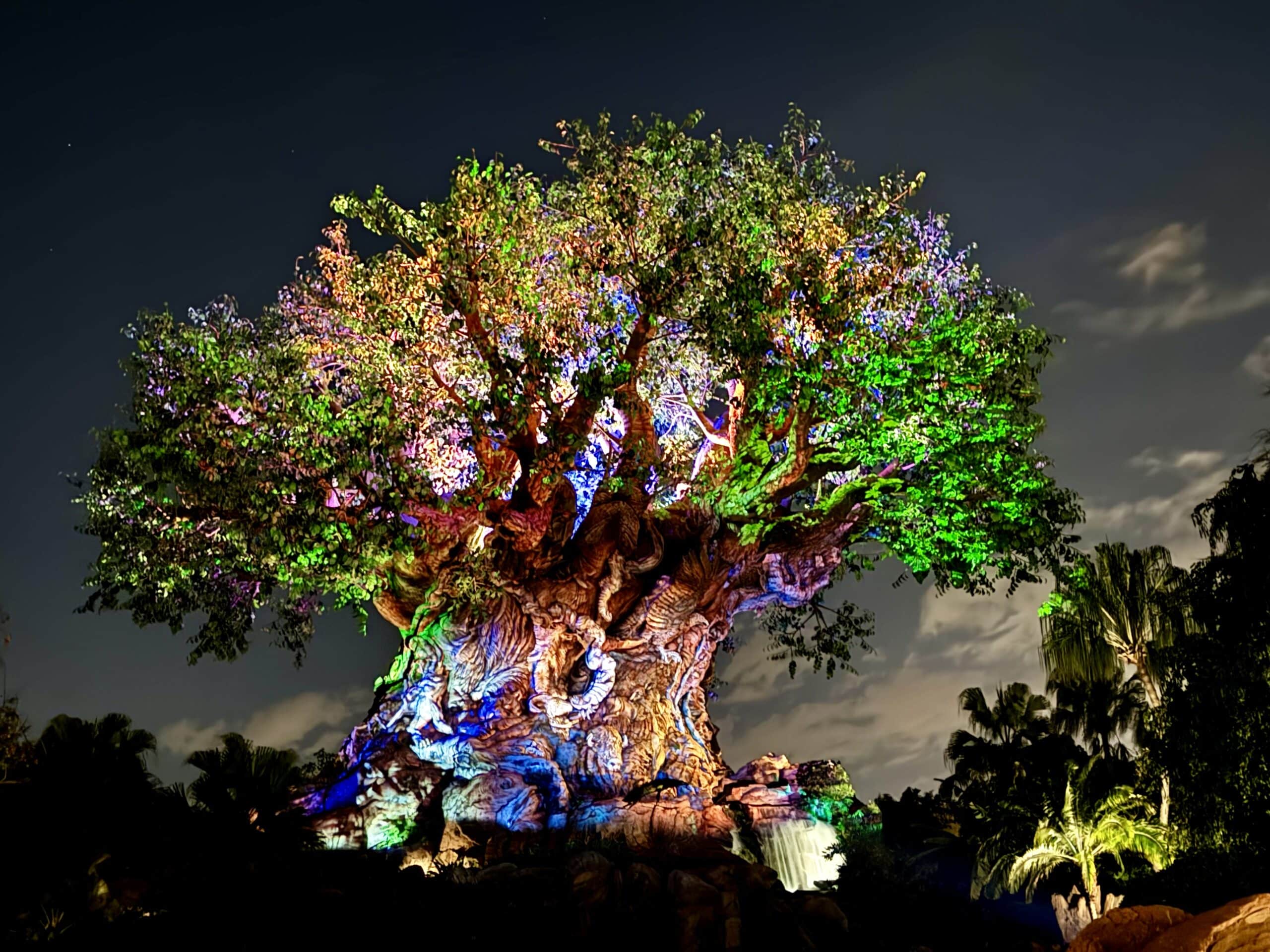 Disney after hours events