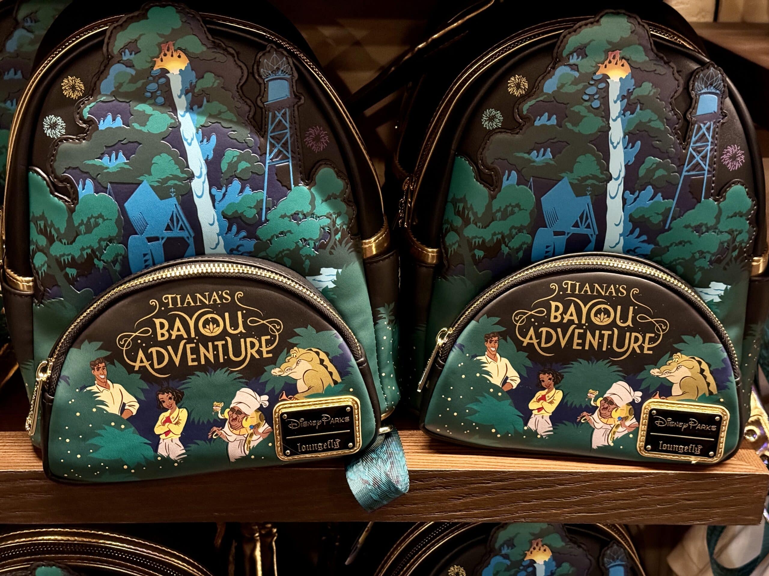 Disney Park Bag Essentials