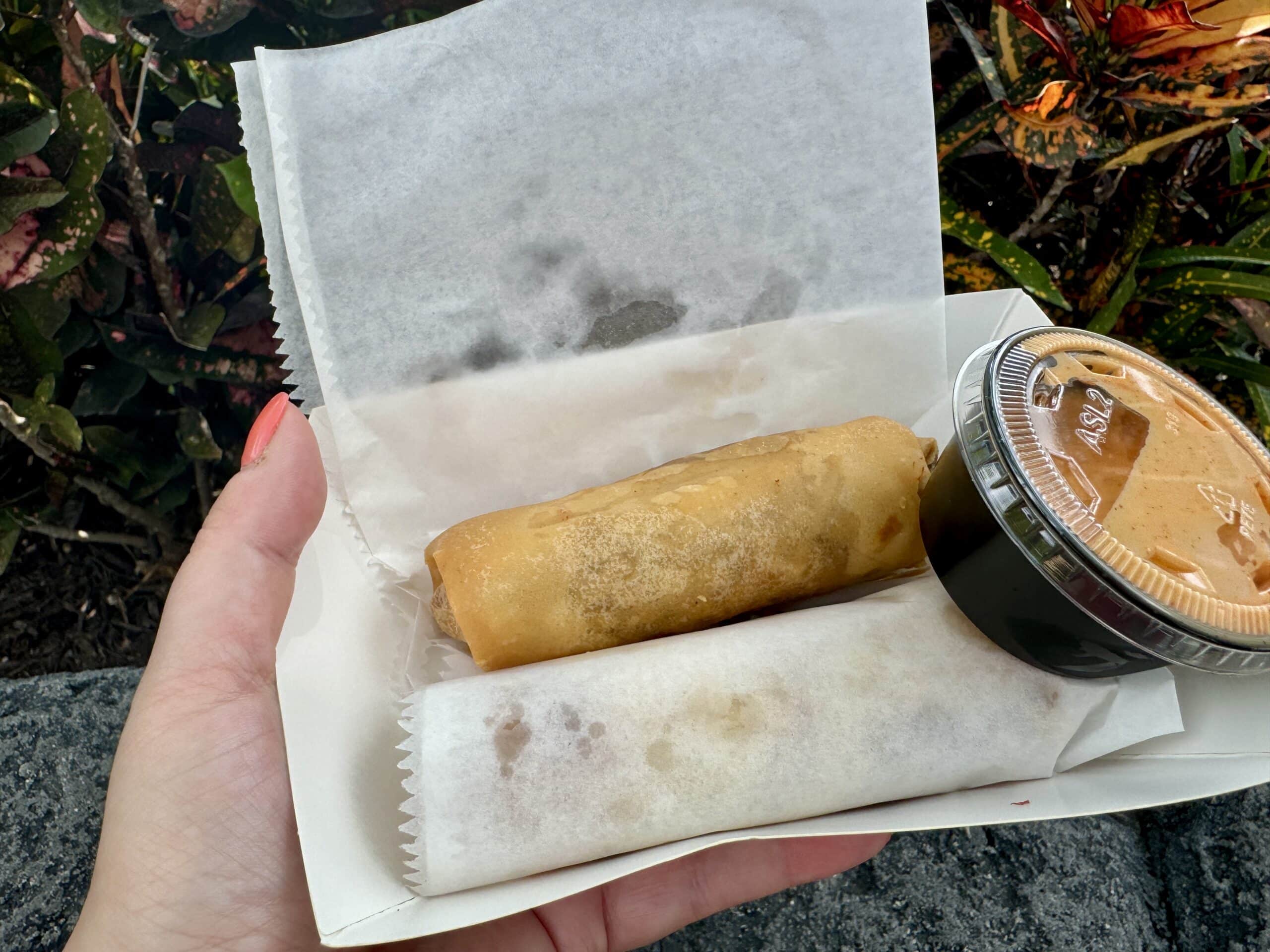 disney while pregnant snacks