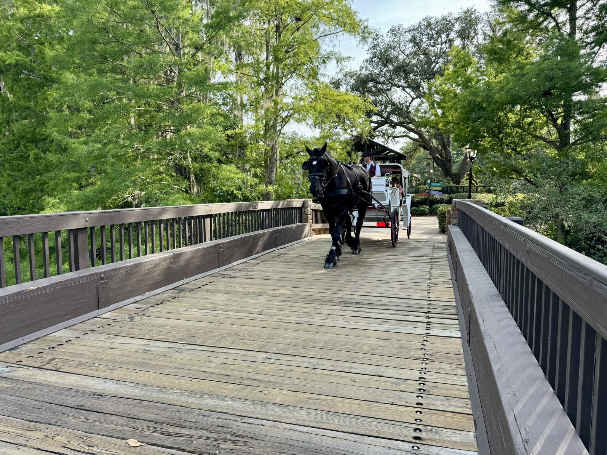 Port Orleans Riverside vs. French Quarter: Which Disney Resort is ...