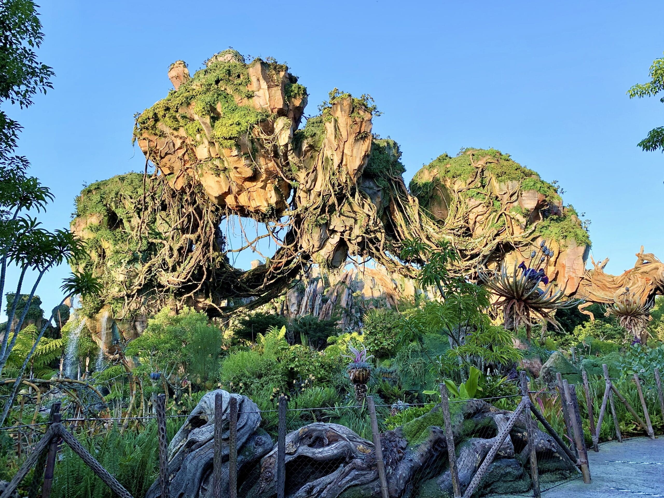 Animal Kingdom Rides