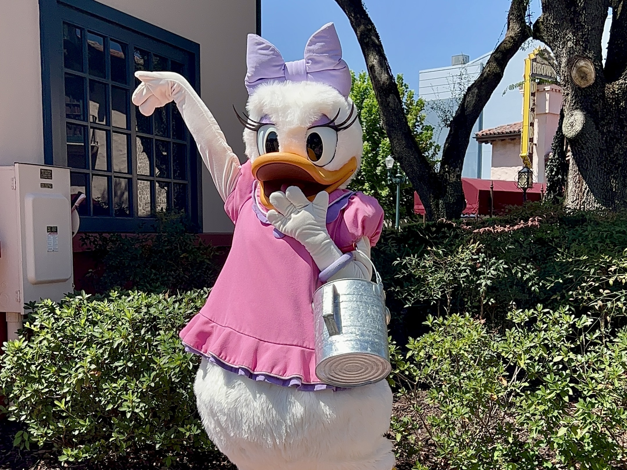 character meet and greets at disney world