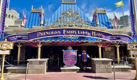 fantasyland disney world cover
