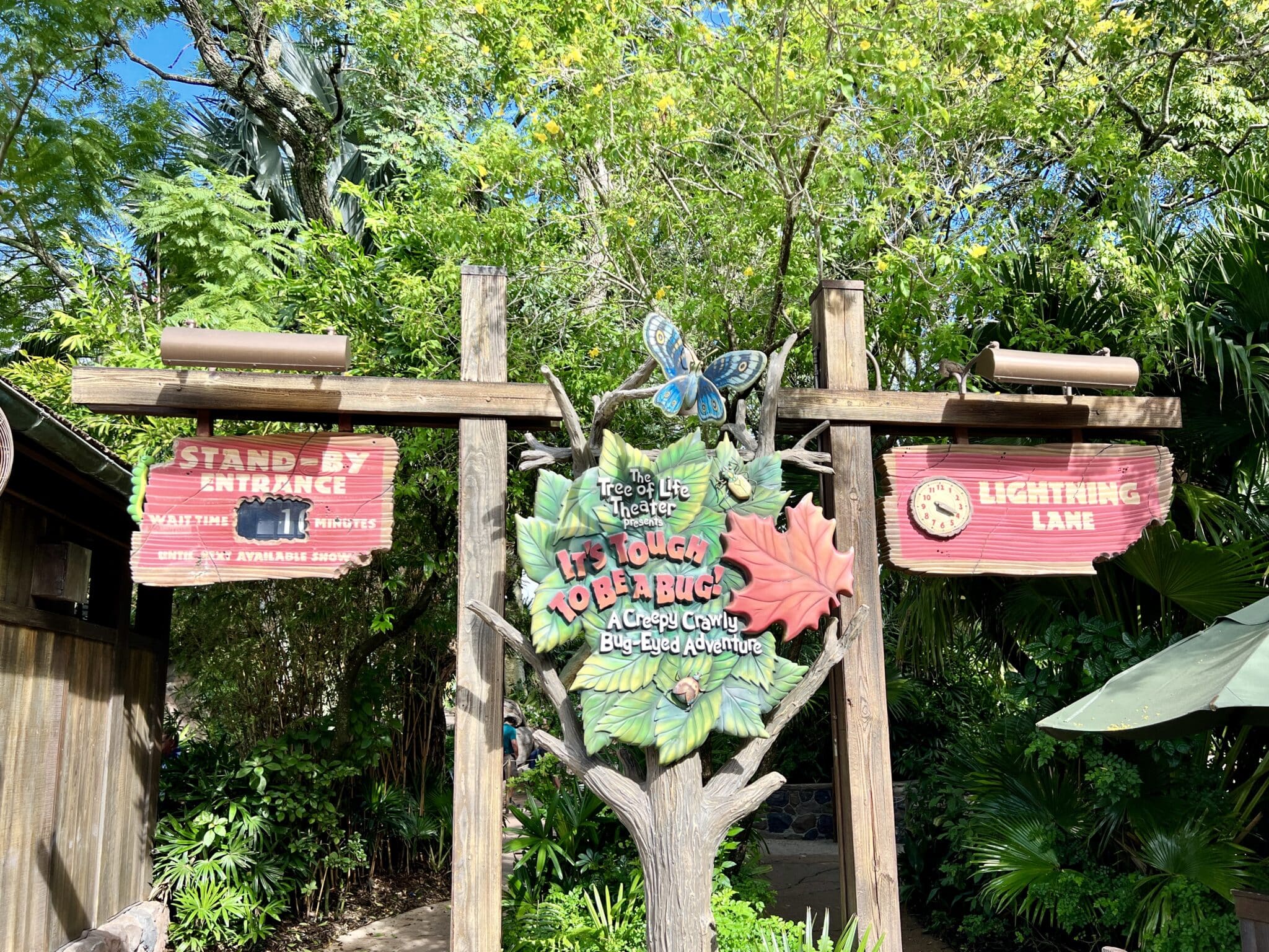 Complete Guide To Animal Kingdom Rides and Attractions - Eat Sleep Disney
