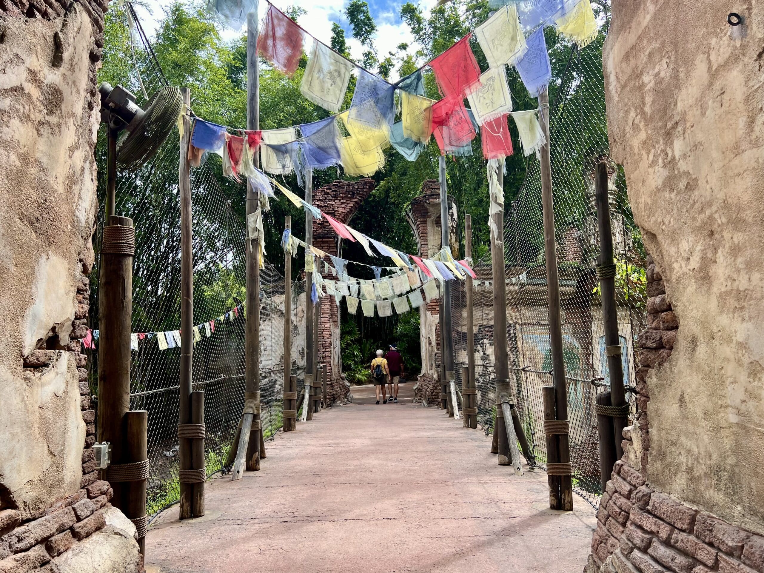 Animal Kingdom Rides