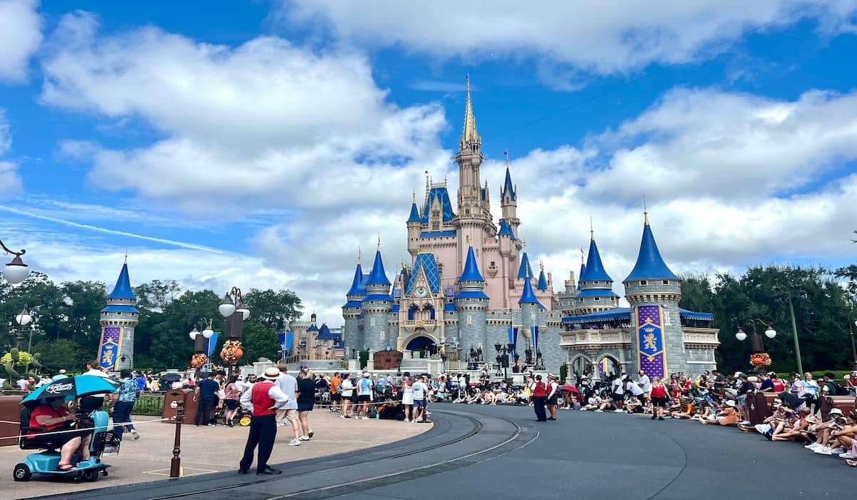 disney world etiquette cover