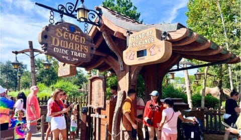 Disney World mistakes